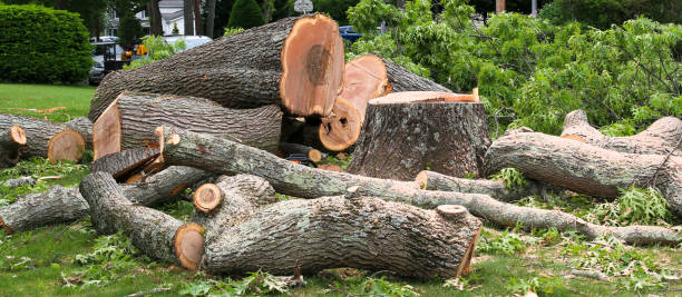  North Utica, IL Tree Services Pros